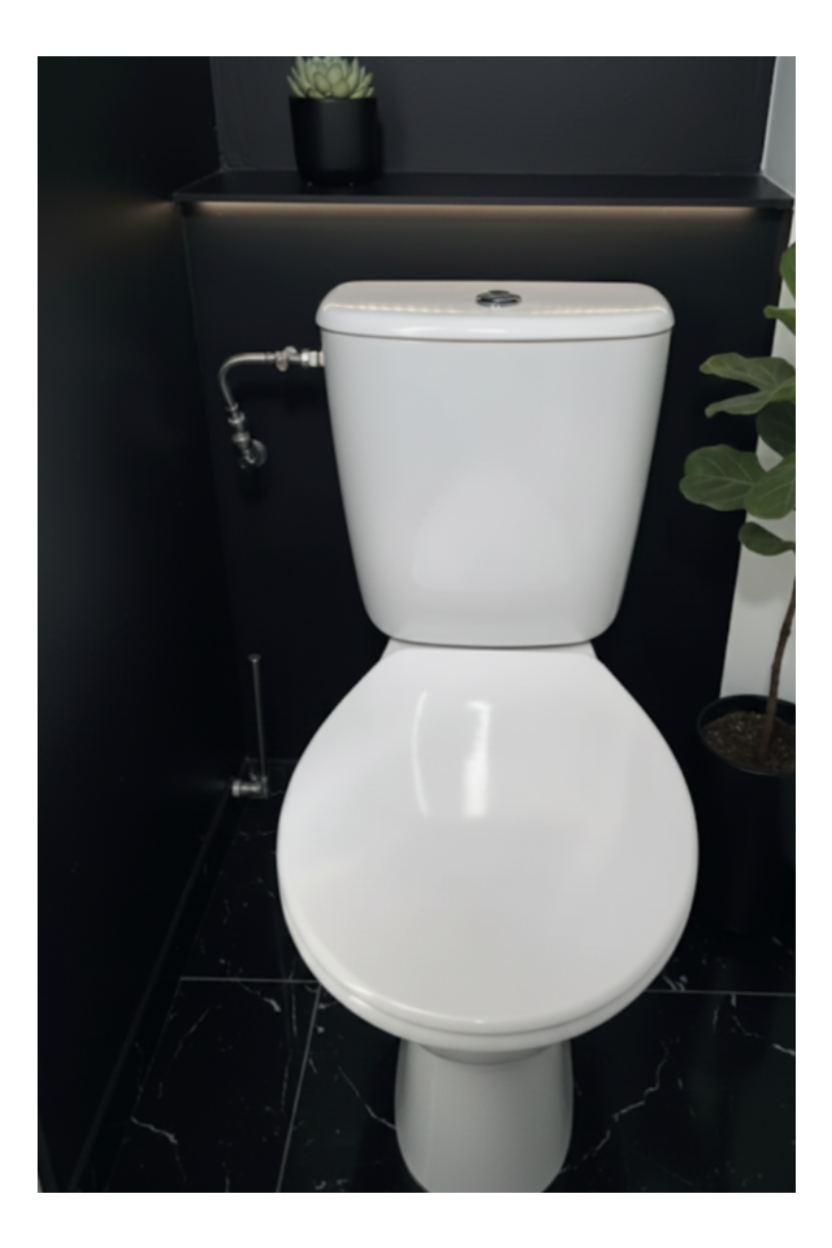 Toilette sans accessoire